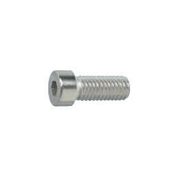ステンレス ローヘッドキャップ小頭 M6x10 【100個入】