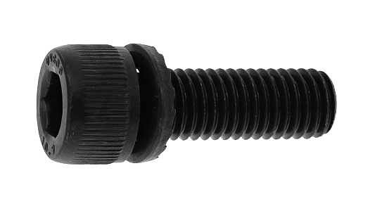 １０．９ ＧＴ－Ｓ ＣＡＰ【100個】10.9 GT-S CAP  12 X 45 標準(または鉄) / 生地(または標準)