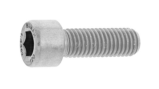 ＢＵＭＡＸ ＤＸ １２．９ＣＡＰ【100個】BUMAX DX12.9CAP  6 X 20 ＳＵＳ３２９Ｊ３Ｌ  / 生地(または標準)