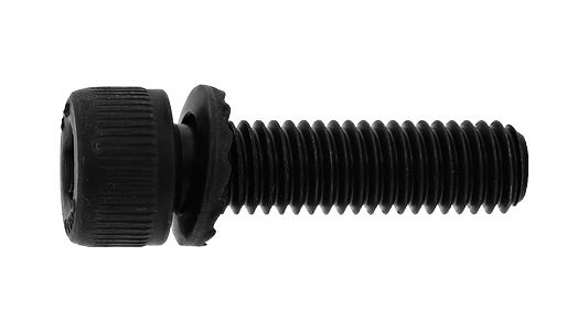 １２．９ ＧＴ－ＣＡＰ（ＳＡ）【100個】12.9 GT-CAP(SA)  12 X 40 標準尺度(または鉄) / 出どころ(または標準尺度)