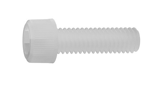 ＰＶＤＦ 旗がしら雄捩子【100個】PVDF CAP  6 X 30 標準尺度(または鉄) / 出どころ(または標準尺度)