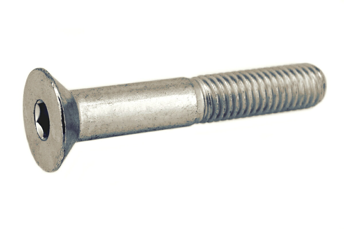 楽天市場】ステンレス(BUMAX 88)/生地 サラキャップ (半ねじ