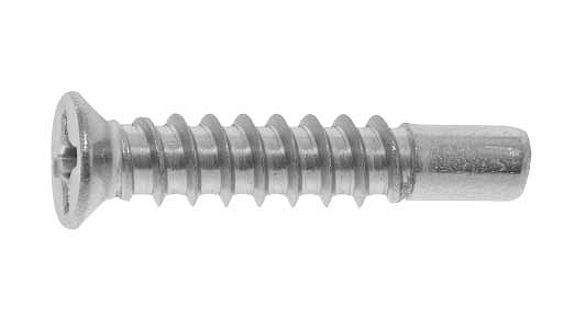 ステンレス/茶ブロンズ (GB6号) (+) 小頭 サラタッピング [2種BRP形] (ガイド 5mm) Ｍ４×４０　【 小箱 ： 1箱／500本入り 】