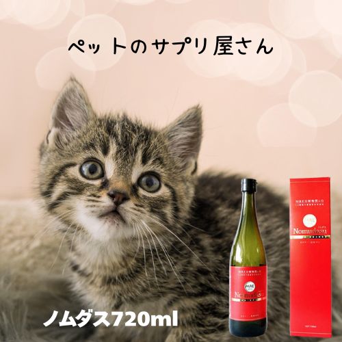 ノムダス 720ml 愛玩動物用 犬猫用 思わしい守りつづける 食欲不活化 デトックス 国産 日本製 予防注射力盛りかえす 土手っ腹の思わしい愛犬 愛猫 成犬 成猫 ねこ 猫 年がしら 抜け毛 かゆみ 体力 加えること アンチエイジング