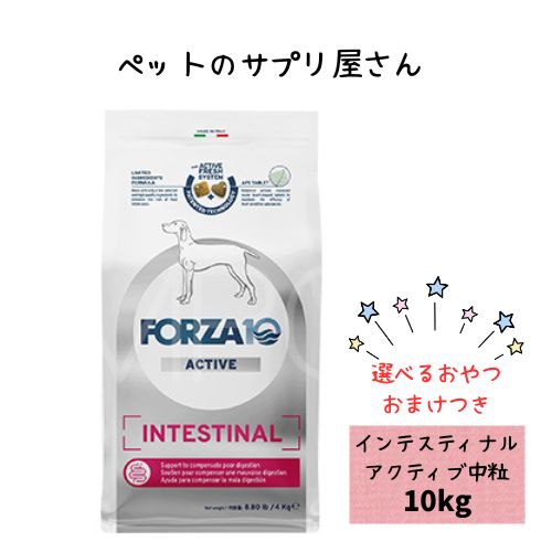 【お兄ちゃんおまけ付】フォルツァ10 DOG インテスティナルアクティブ 並み並み 10kg ドッグフード 素っ気ない 組み入れる滋養分食 治療薬食 消化器 胃の腑 フォルツァディエチ  成犬用 中粒 中型犬 大型犬 犬用 土手っ腹 消化不具合のある