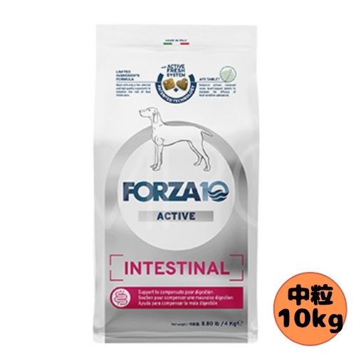フォルツァ10 DOG インテスティナルアクティブ 並み並み 10kg ドッグフード 素っ気ない 組み入れる滋養分食 治療薬食 消化器 胃の腑 フォルツァディエチ  成犬用 中粒 中型犬 大型犬 犬用 土手っ腹 消化不具合のある