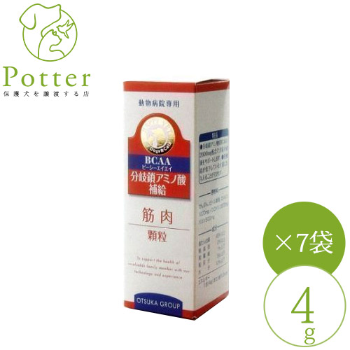 フォーデイズ BCAA & グルタミン DX 賞味期限2027年3月 フォーデイズ BCAA & グルタミン DX 賞味期限2027年3月