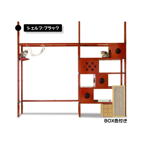 ニャンダフルシェルフ 色つや【黒いこと】 BOX色付き添い人