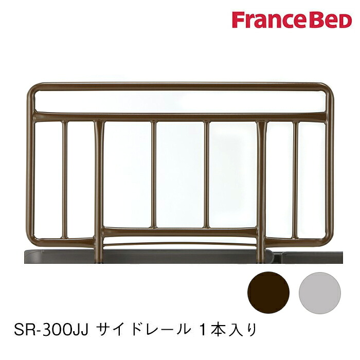 フランスベッド 定め事品 似ている側面軌跡 手摺り てすり スチール写真製 SR-300JJ 1本入り口・入口 BR 036759160 GR 035460170