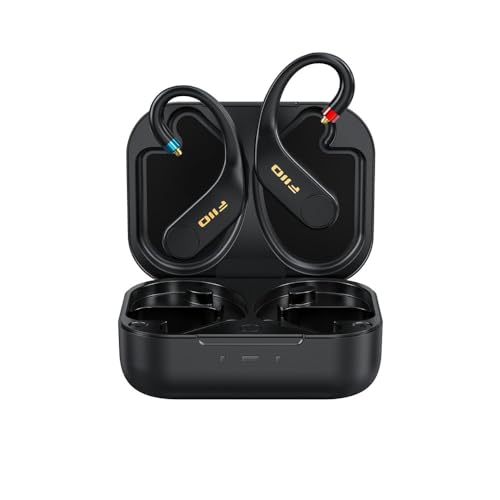 FIIO UTWS5 2025 MMCX FIO-UTWS5-25-MMCX 日本より送りとどける 禾穀類電話番号付 Bluetooth イヤ電話機 イヤ電話機 受信システム 無線電話相応う DAC アンプリファイアー