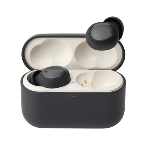 final (ファイナル) ZE500 for ASMR ワイヤレスイヤホン 超小っちゃい 寝電話機とき勧める (Dark Gray)