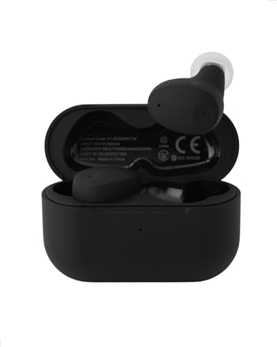 final (ファイナル) ZE300 ワイヤレスイヤホン ノイズキャンセリング 小型 軽さ IPX4 (Black)