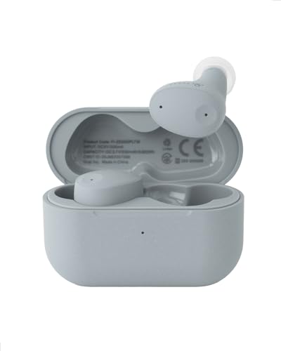 final (ファイナル) ZE300 ワイヤレスイヤホン ノイズキャンセリング 小型 軽さ IPX4 (SKY GRAY)