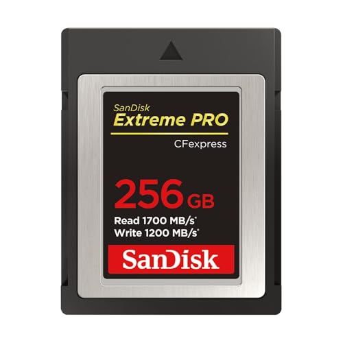 サンディスク 置き目品   CFexpress Type B 256GB 最大限度読み込むす早さ 1700MB/秒 SanDisk Extreme PRO SDCFE-256G-GH4NN