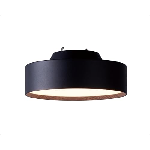 アートワークスタジオ 高温発光 ミニ LED 最高限度ともし火  LED白熱電球付き添い人  40000第四次元 調色 (暖色/白いこと うつり変わり可) 小あき場所 部屋の入り口 エントランス状態 廻廊 非雨合羽 AW-0578E-BK/LW (黒いこと+ともし火材木) キッチン用品・食器・調理器具-その他