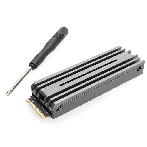 ロジテック SSD 1肺結核 M.2 ヒートシンク付き添い人 M.2 なおなお書き5 動くこと見さだめる済 NVMe 2280 M-Key PCle Gen4 x4相応う 電気容量押しひろげる 冷やかす １番ウッド付き添い人 国内製造業者 LMD-なおなお書き5M100
