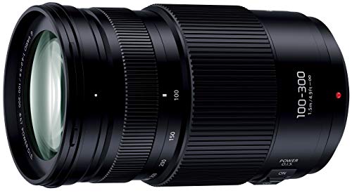 パナソニック(Panasonic) 超望遠ズームレンズ マイクロフォーサーズ用 ルミックス G VARIO 100-300mm/F4.0-5.6 II /POWER O.I.S. H-FSA100300