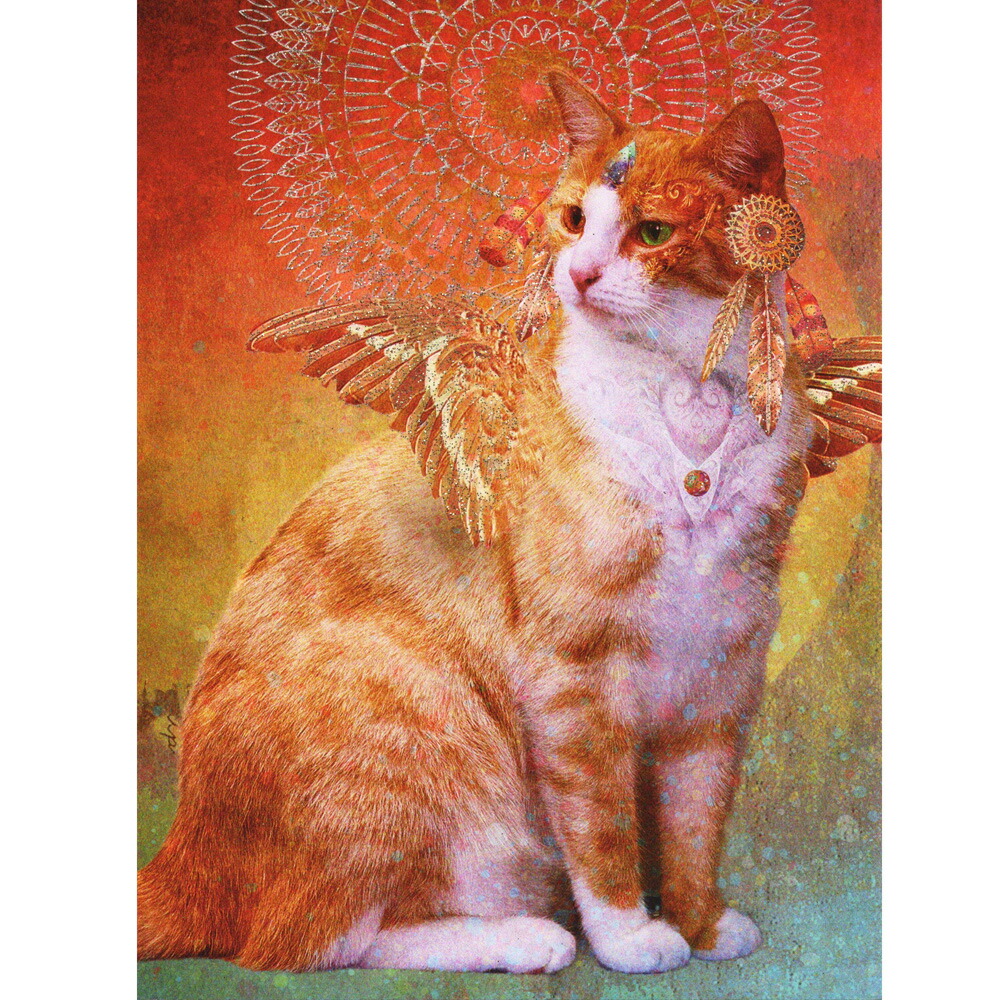 楽天市場】【クリバンキャット】猫のバースデーカード ムーンライト