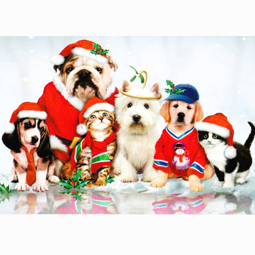 楽天市場 ハワード ロビンソン 猫と犬のクリスマスカード グッドフレンズ 猫グッズmimikobo