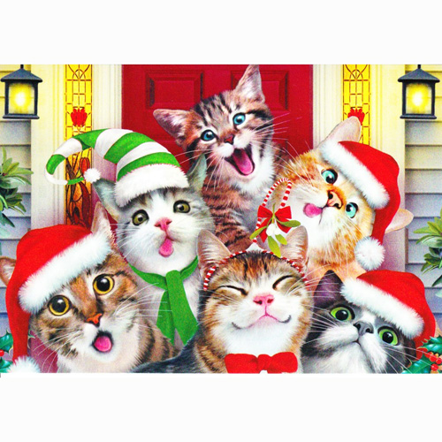 楽天市場 ハワード ロビンソン 猫のクリスマスカード キャットセルフィー クリスマス 猫グッズmimikobo