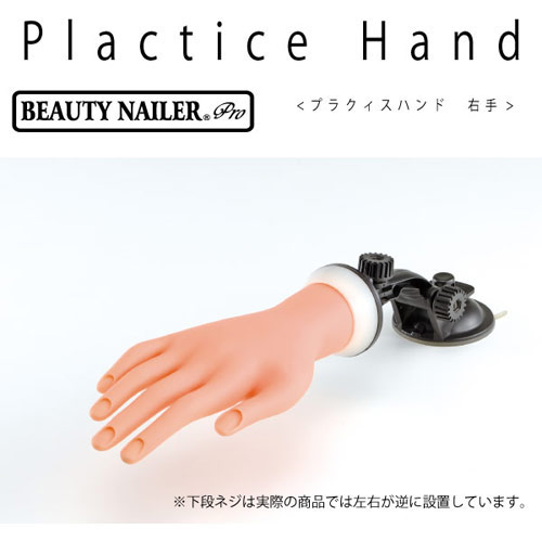 楽天市場 Beauty Nailer プラクティスハンド 右手 Ph 1 ジェルネイル ネイル用品 ネルパラ