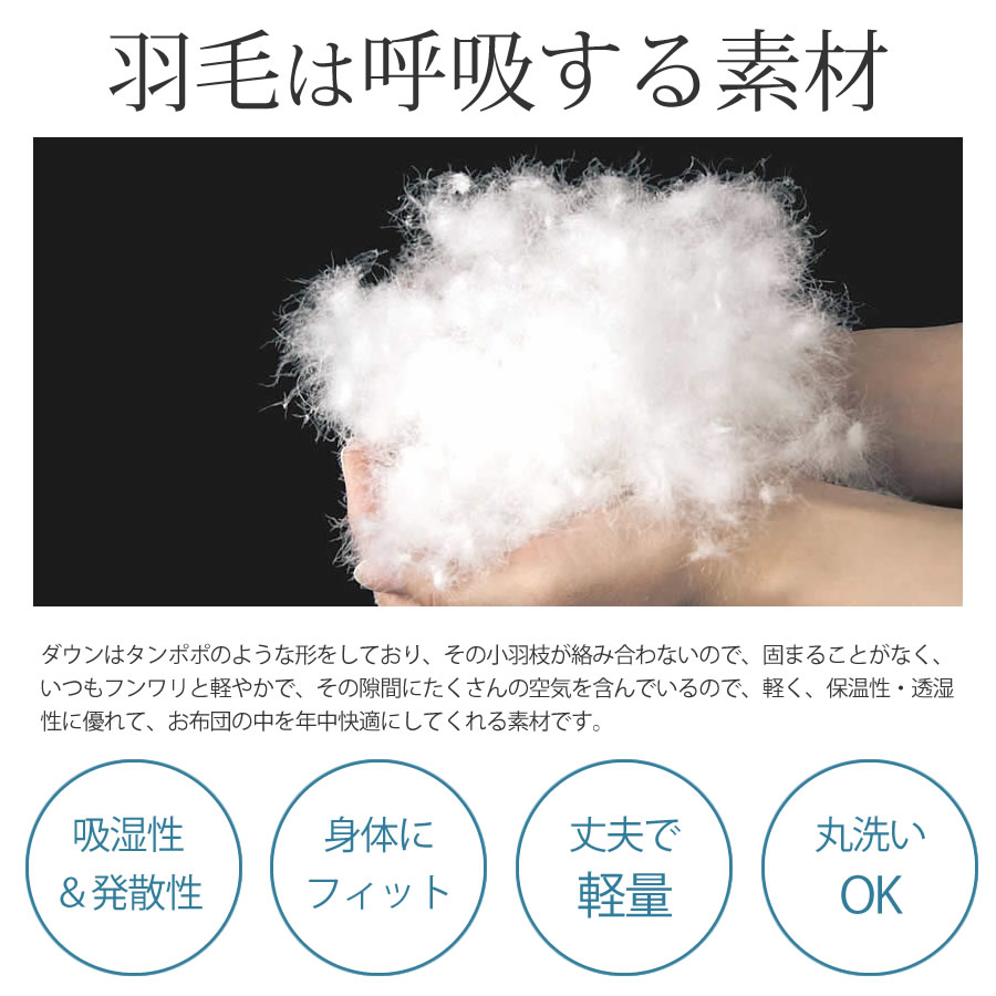 楽天市場 最大2 000円offクーポン配布中 ダウンケット 羽毛肌掛布団 軽量0 2kg 収納袋付き シングルサイズ 140 190cm 洗える ウォッシャブル 羽毛肌掛け布団 羽毛肌掛けふとん アウトドア コンパクト 収納 6カ所ループ付き キルティング加工 おうち お家 Dkf 60