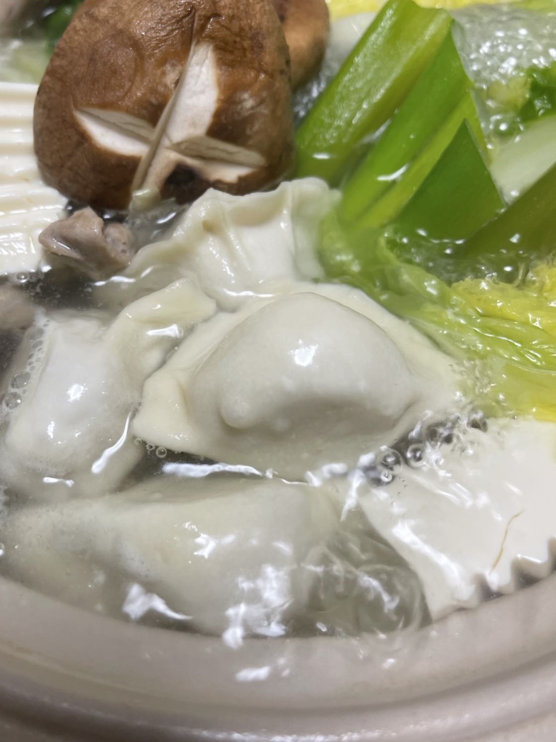 もちぷっり水餃子ねね餃子鶏キノコ12個厳選新感覚餃子パーティー惣菜中国中華老若男女人気若江岩田東大阪市飲茶ビールワイン焼餃子栄養満点点心家飲みグルメ餃子鍋ハルビン贈り物