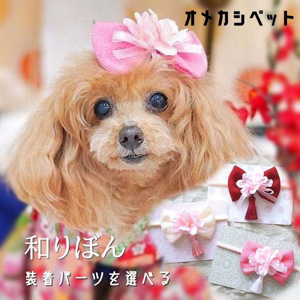 楽天市場】ひなまつり 犬 着物 衣装 耳飾り 花冠 ヘアバンド 花飾り