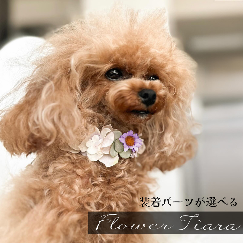 Amazon | [オメカシペット] 犬 耳飾り ヘアピン ドッグ