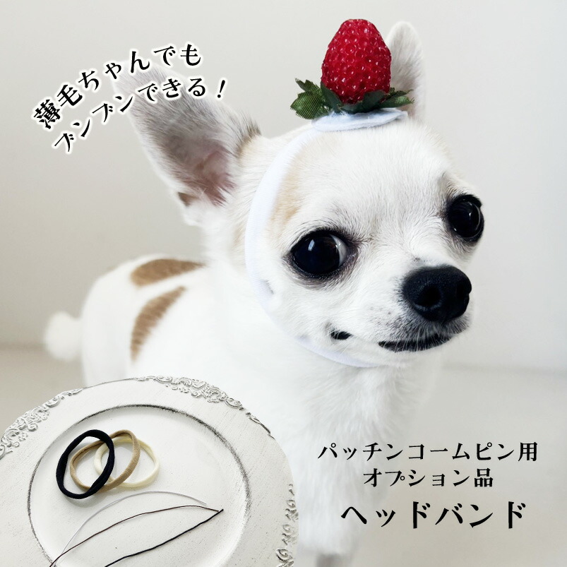 犬服・アクセサリー ayalamby 楽天市場】犬 蜂 ヘアピン 花 犬服 飾り ぱっちん 全犬種 うちの子