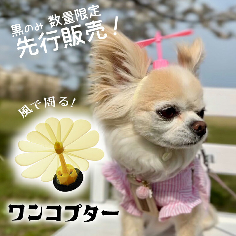 楽天市場】犬 蜂 ヘアピン 花 犬服 飾り ぱっちん 全犬種 うちの 楽天市場】犬 蜂 ヘアピン 花 犬服 飾り ぱっちん 全犬種 うちの
