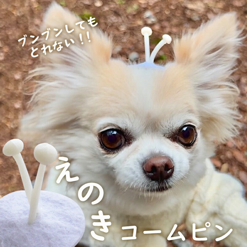 犬用 節分 鬼の角ハンドメイド 犬用 節分 鬼の角ハンドメイド