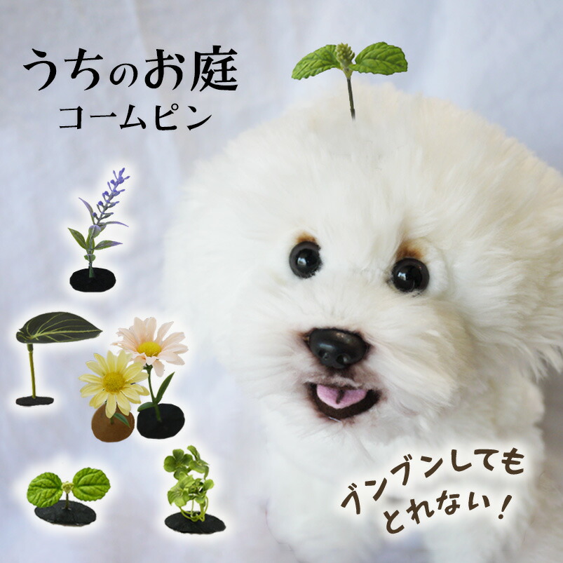 1回のご注文につき1個まで】 ウーリー 高原の朝採り牧草「麦」ヤング 450g