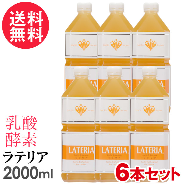 楽天市場】ラテリア 900ml 乳酸 酵素 核酸 ドリンク 新日本酵素株式