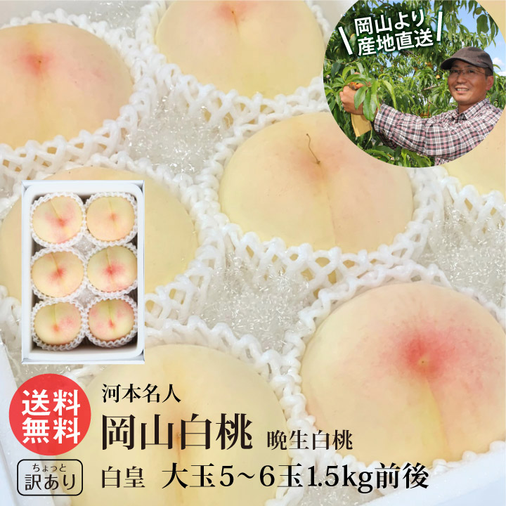 楽天市場】河本農園 清水白桃 大玉3玉 1玉約300g 少し 訳あり