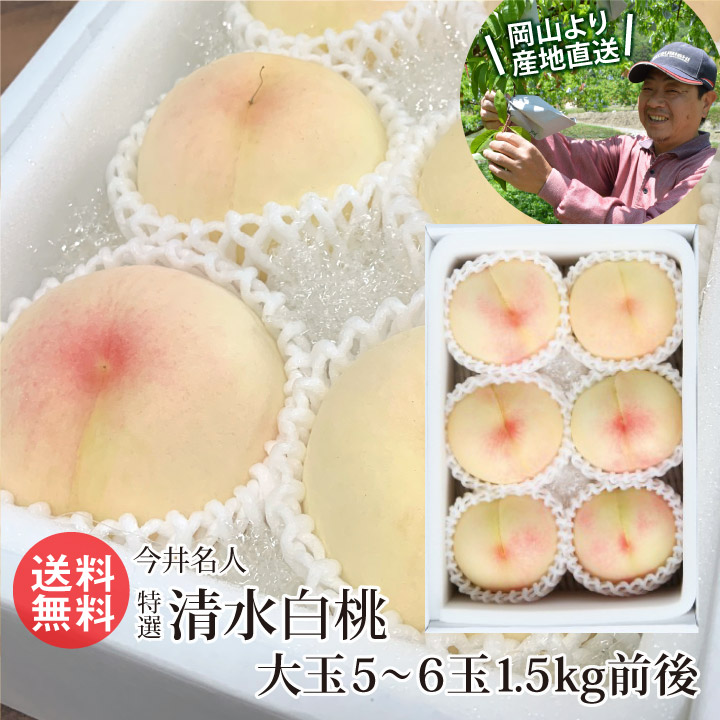 今井名人 特選 清水白桃 白桃 5~6玉 1.5kg前後 ロイヤル級厳選平均糖度12度 お中元 白桃 岡山 産地直送|いきいきショップ【ねんりん】