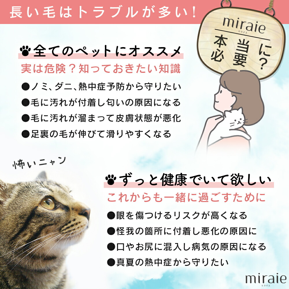 100 の保証 ペット用バリカン バリカン 犬 猫用 充電式コードレス 犬用バリカン プロ ペット 初心者 猫 トリミング 静音 軽量 充電式 コードレス 身ペット用毛 調節可能なコーム 動用ガイド トリマーセット Www Paradisoperopraiahotel Com Br