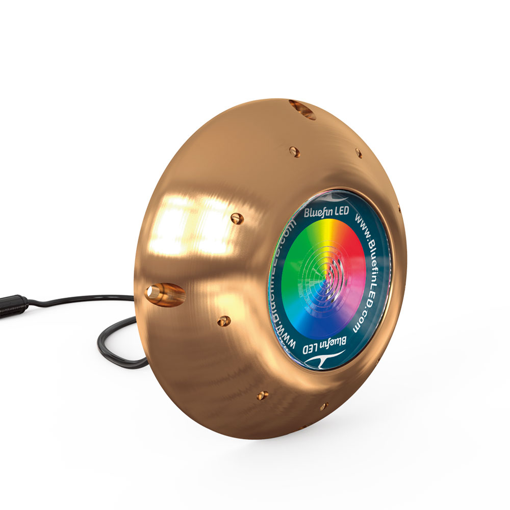 【SS継続期間中P3倍】 BlueFin LED(青色フィン)水中点火装置 ORCA 色合い取り替えっこ(CC)