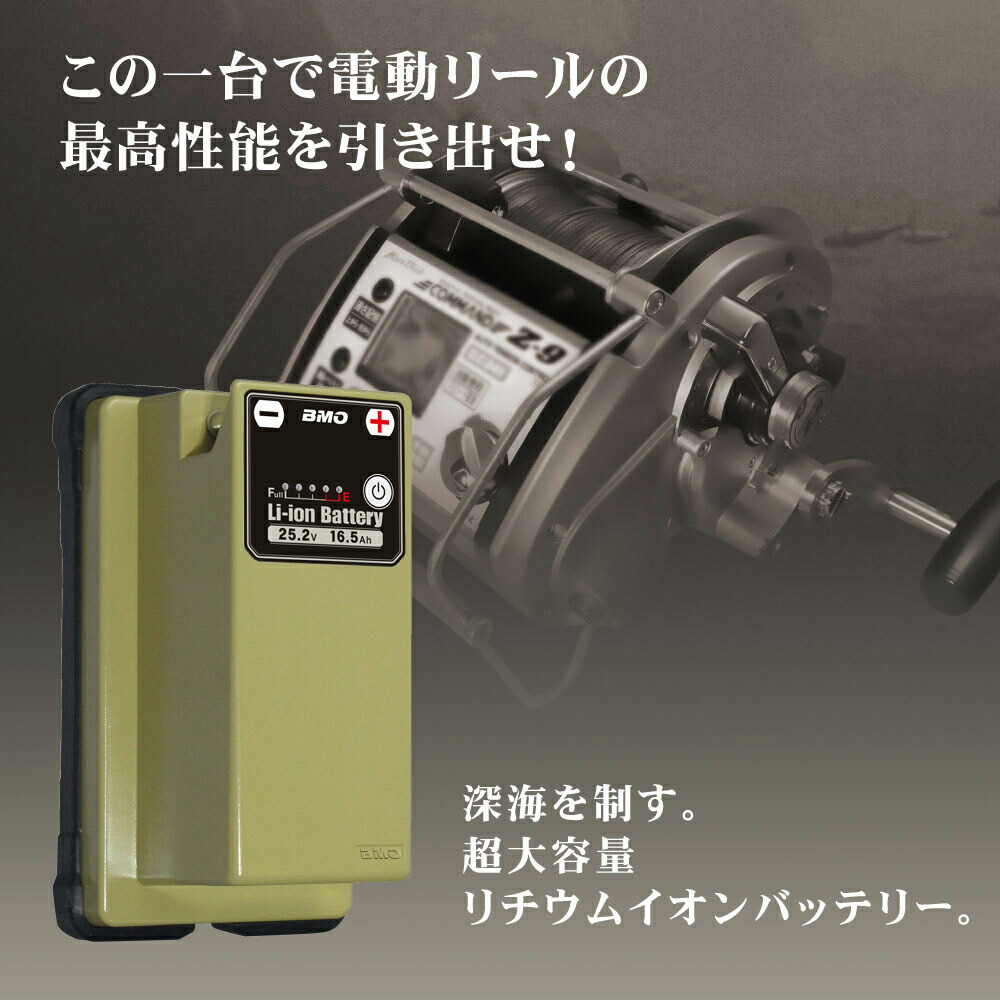 6月18日限定p最大 5倍 Bmo ビーエムオー リチウムイオンバッテリー16 5ahチャージャーセット septicin Com