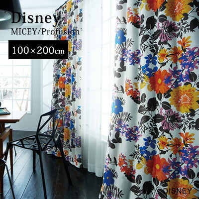 【最大1000円OFFクーポン配布中】【Disney HOME Series】 カーテン ドレープ 1.5倍ヒダ ウォッシャブル 遮光2級 形状記憶 ディズニー 日本製 【Disney zone】 neore / 【プー プロフュージョン】既製サイズカーテン【（約）幅100×丈200cm】※1枚入り