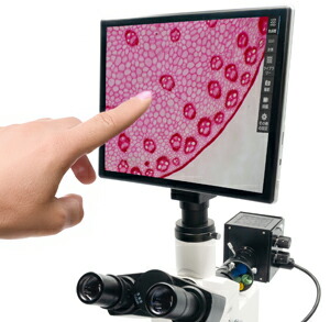 【タブレット式顕微鏡カメラ500】タブレット一体型 顕微鏡用 カメラ500万画素 計測機能付き PCいらずで簡単計測