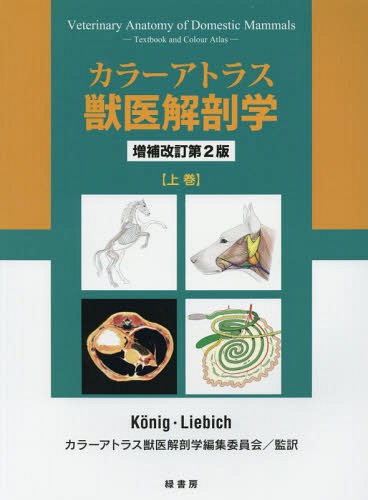 楽天市場】ベテリナリー・アナトミー 犬と猫の解剖カラーアトラス