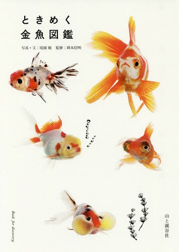 楽天市場】【金魚宝典】中国金魚図鑑 : 金魚宝典