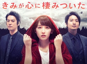 きみが心に棲みついた[DVD] DVD-BOX / TVドラマ