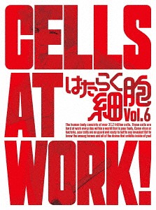 はたらく細胞[DVD] 6 [CD付完全生産限定版] / アニメ