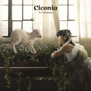 Ciconia Cd 上野山英里 Oacptoday Org