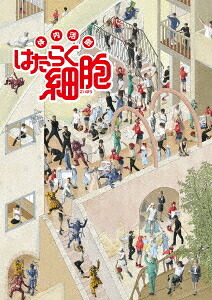 体内活劇「はたらく細胞」[Blu-ray] [完全生産限定版] / 舞台｜ネオウィング 店