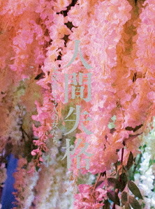 人間失格 太宰治と3人の女たち[Blu-ray] 豪華版 / 邦画