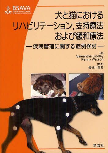 工作員と猫におけるリハビリ 支治療法および鎮もる療法 二豎締め括る 