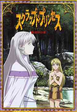 スクラップド・プリンセス[DVD] XI 宿命の章 [通常版] / アニメ